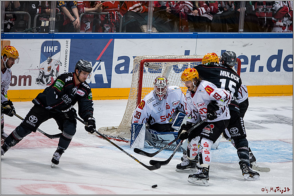 Koelner Haie - Pinguins Bremerhaven, 25.10.2016